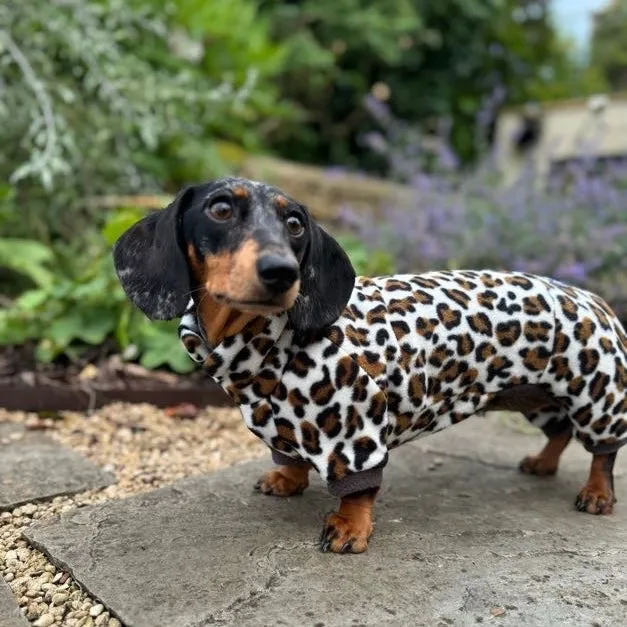 Dachshund Wild Animal Print Fleece Suits with 4 Legs