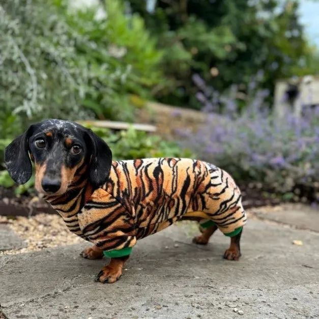 Dachshund Wild Animal Print Fleece Suits with 4 Legs