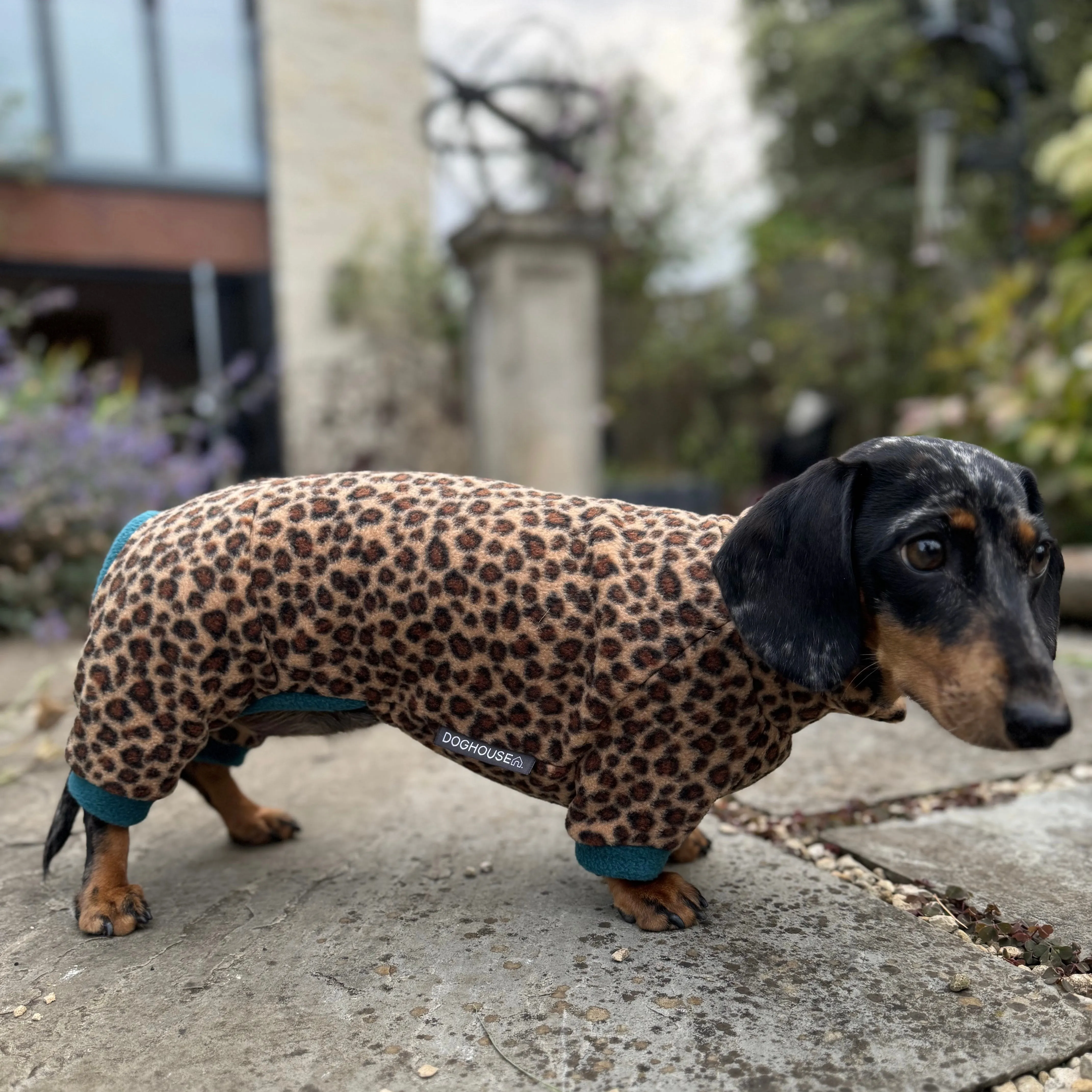 Dachshund Wild Animal Print Fleece Suits with 4 Legs