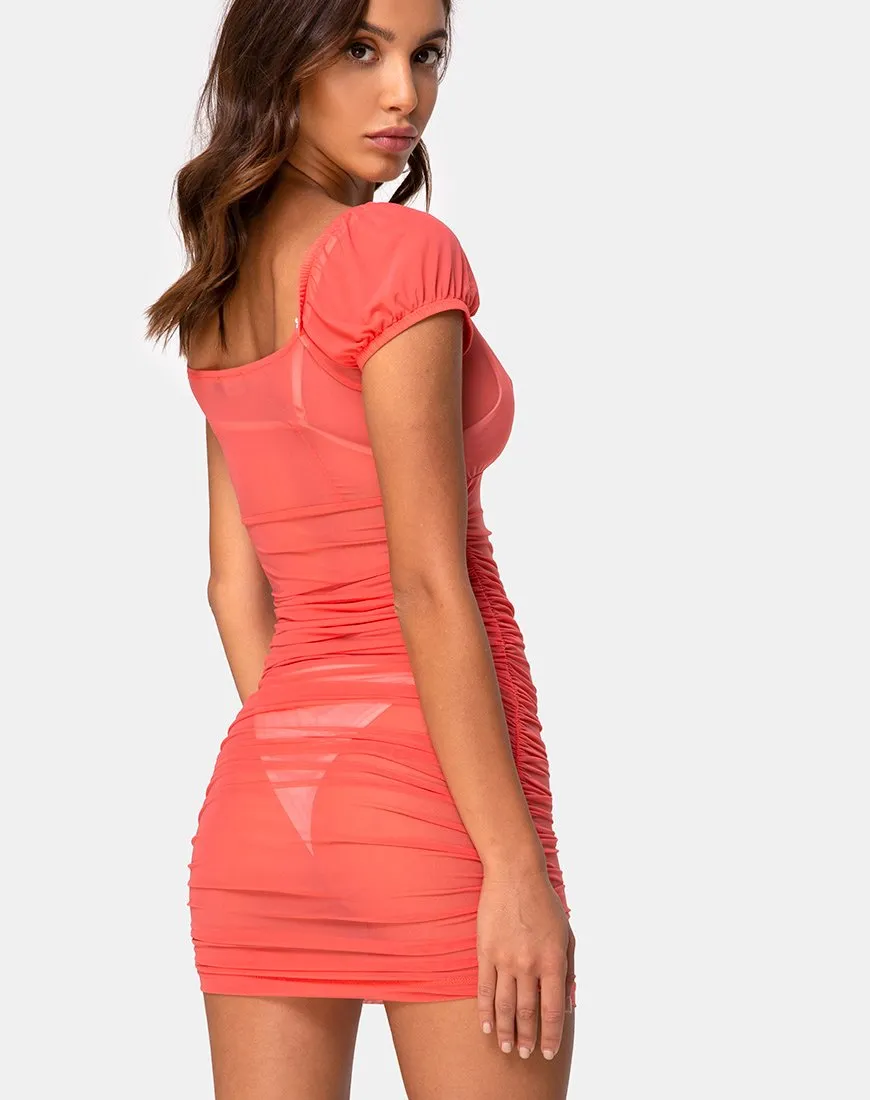 Guenetta Dress in Pink Net